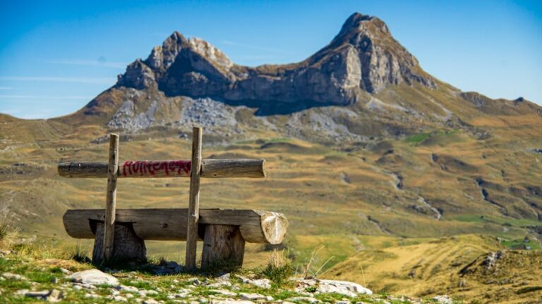 Top 5 Youtube Downloader Wav Format Solutions Instantly