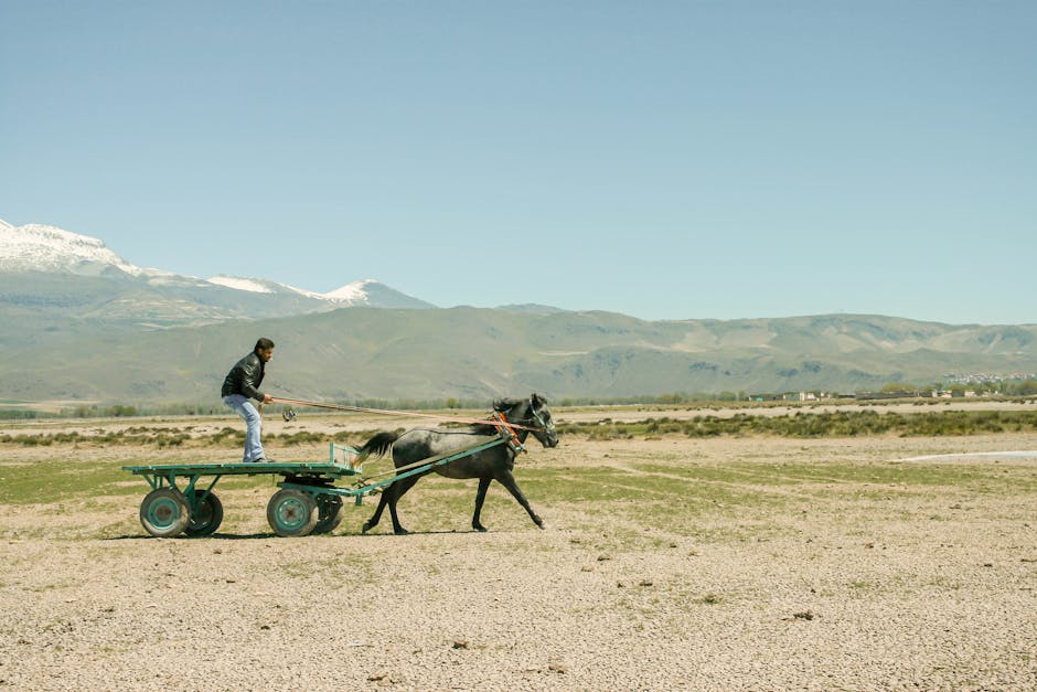 Featured image for A Professional Guide To Best 8 Wind Instruments Selection