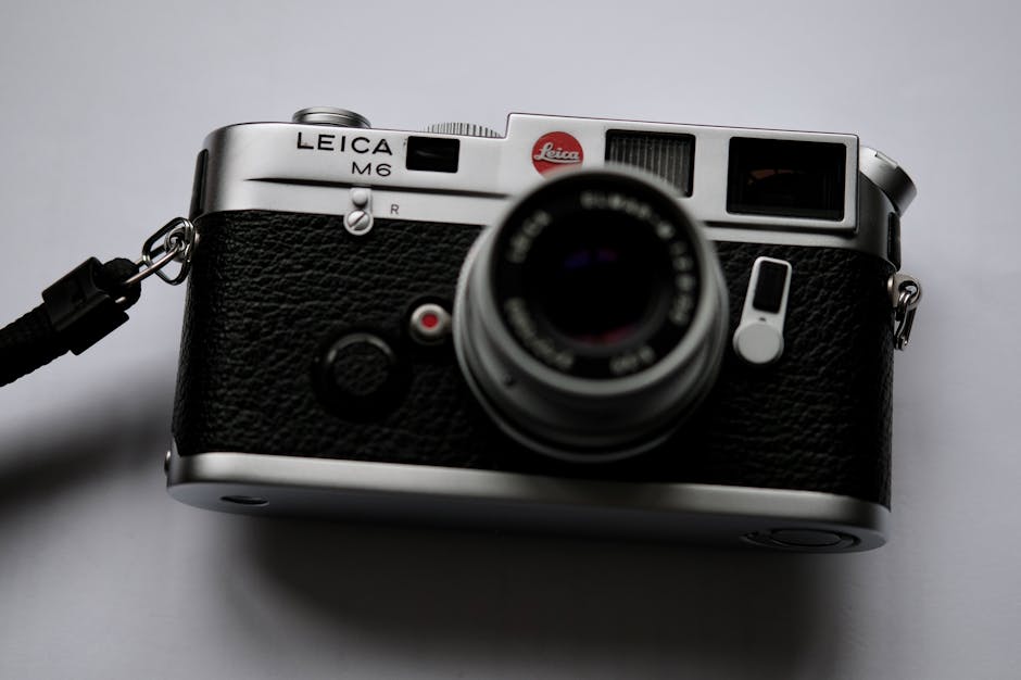 What Does Bump Mean On Social Media A Professional Breakdown